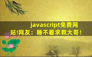 javascript免费网站!网友：睡不着求救大哥！